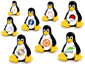 Choosing the Right Linux Distro featured image