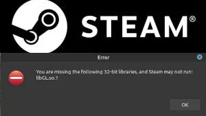 Fix LibGL Errors featured image